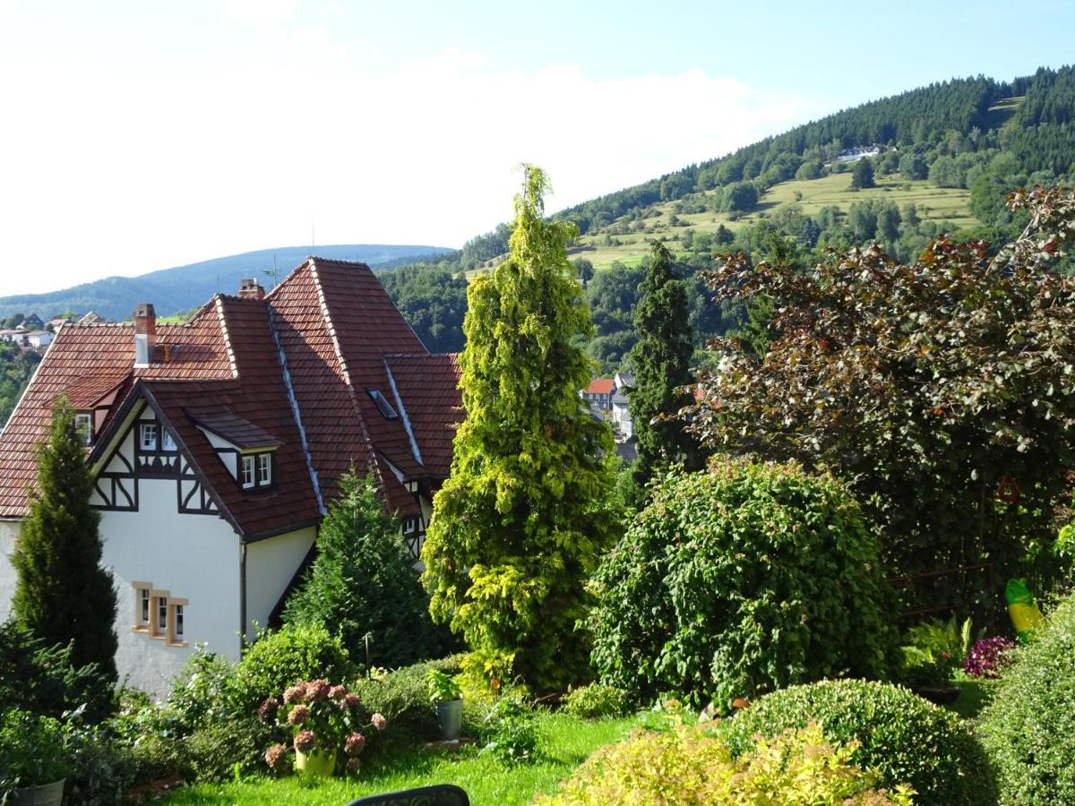 Ferienwohnung Panorama Rauenstein Екстер'єр фото