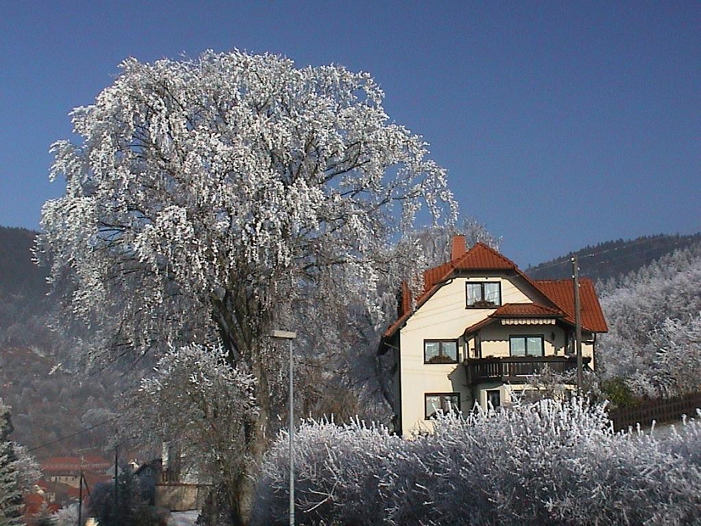 Ferienwohnung Panorama Rauenstein Екстер'єр фото