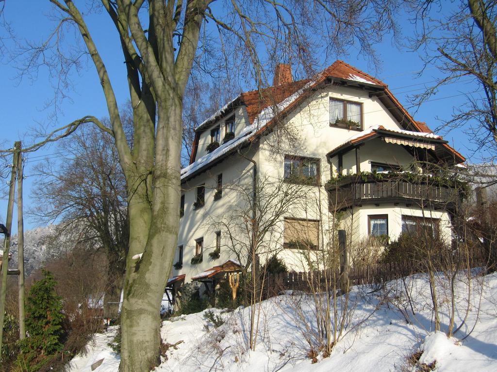 Ferienwohnung Panorama Rauenstein Екстер'єр фото