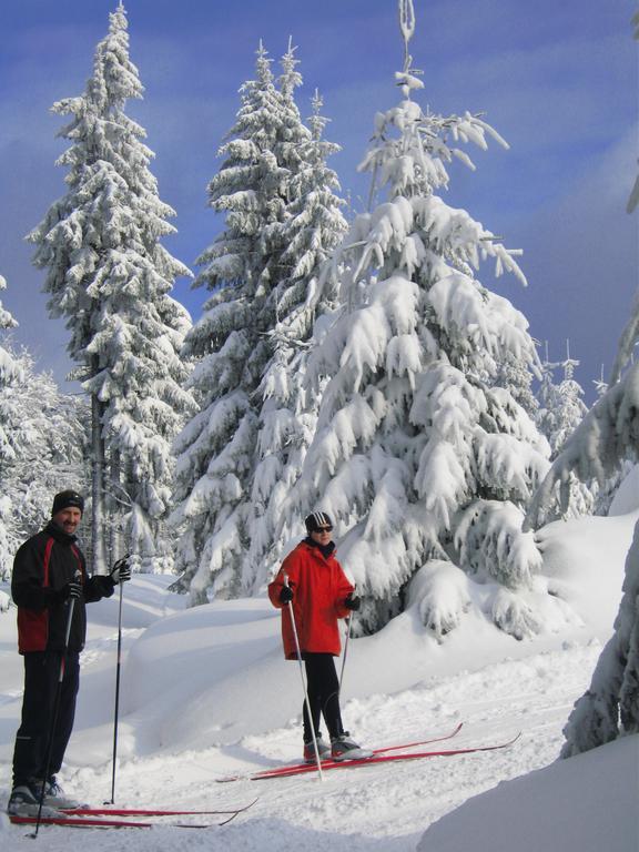 Ferienwohnung Panorama Rauenstein Екстер'єр фото