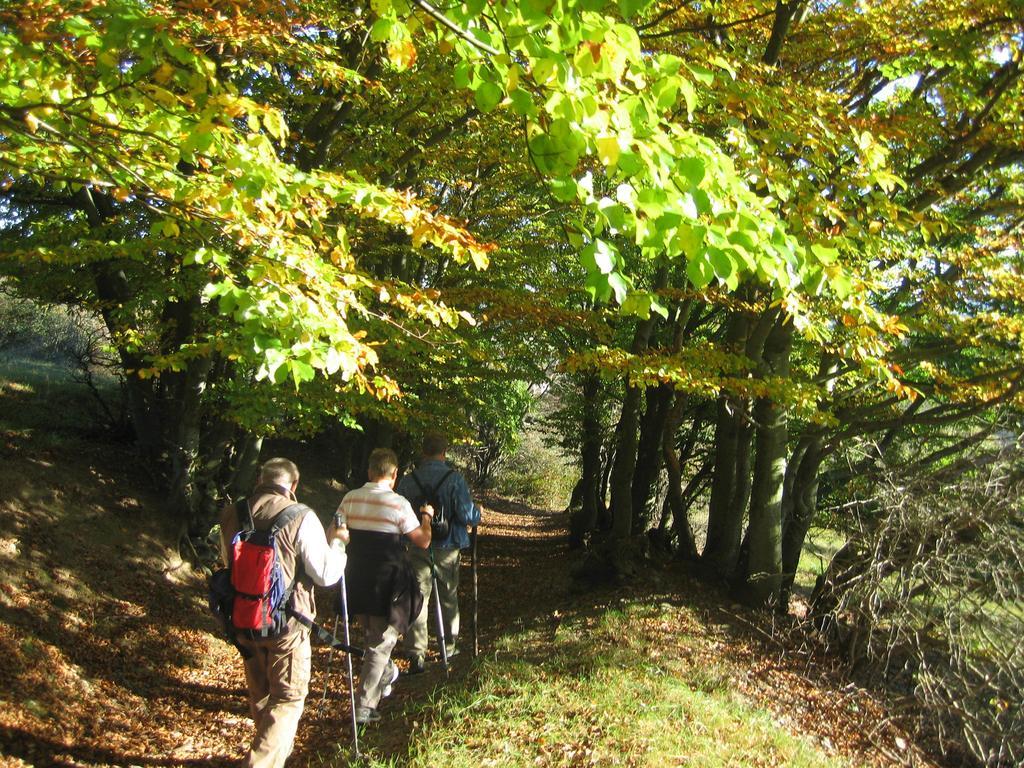 Ferienwohnung Panorama Rauenstein Екстер'єр фото