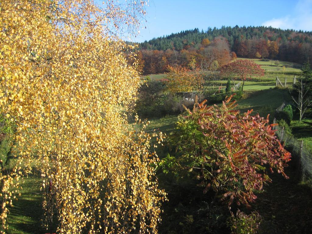 Ferienwohnung Panorama Rauenstein Екстер'єр фото