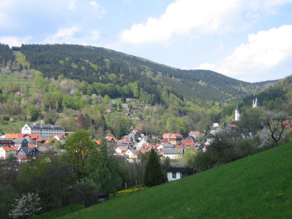 Ferienwohnung Panorama Rauenstein Екстер'єр фото