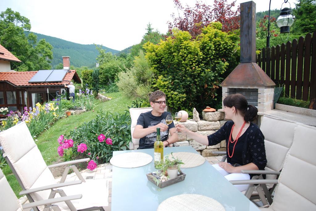 Ferienwohnung Panorama Rauenstein Екстер'єр фото