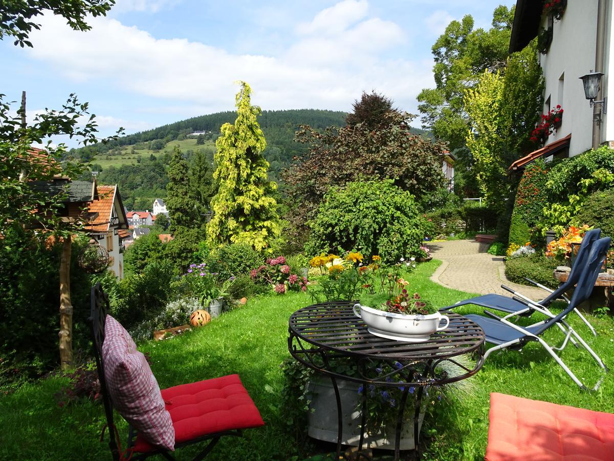 Ferienwohnung Panorama Rauenstein Екстер'єр фото